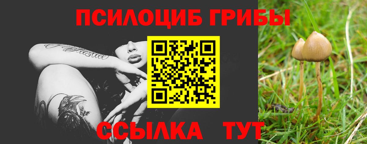 Галлюциногенные грибы GOLDEN TEACHER  Вход с VPN  Североморск 