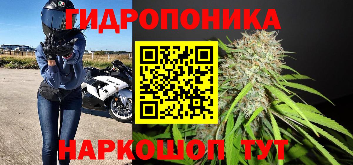 Бошки марихуана VHQ Североморск